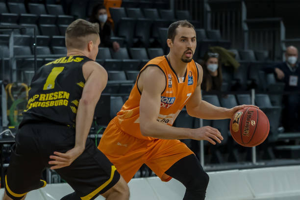 1年雄鹿模 1年雄鹿模